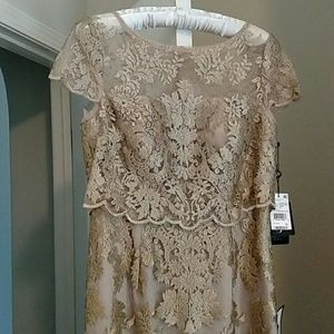 Mother of the Bride Adrianna Papell Rosegold NWT